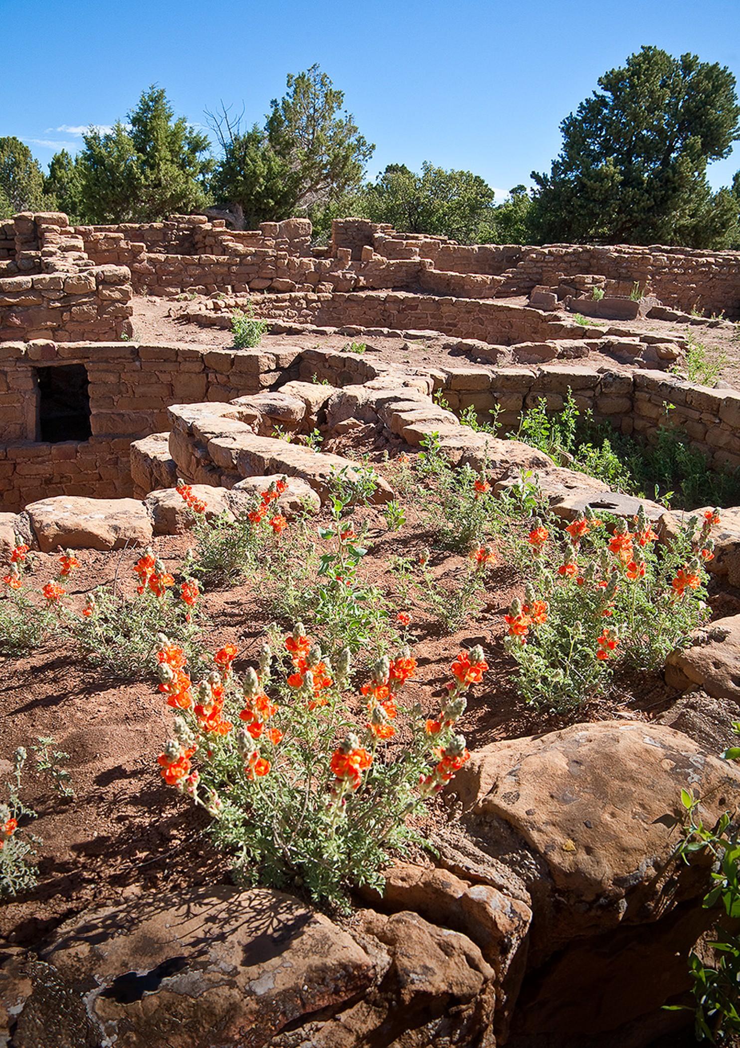 Far View Lodge Parco Nazionale di Mesa Verde Esterno foto